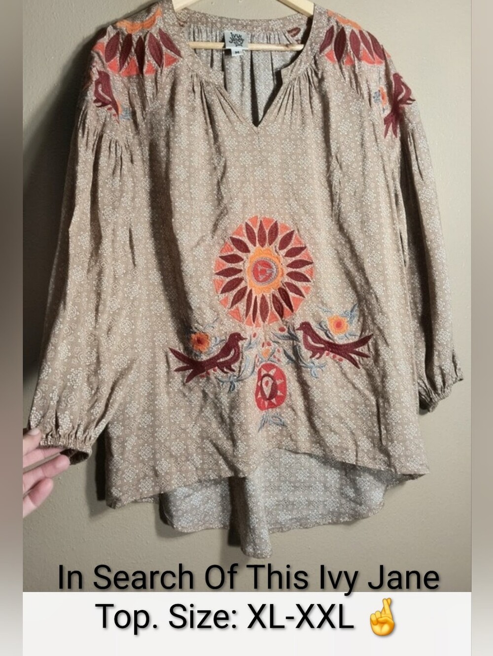 🤞In Search of: IVY JANE Embroidered Tan Boho Top Pictured. Need Sz: XL-XXL🤞